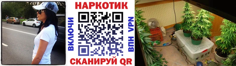 Где купить Хасавюрт КОКАИН  Мефедрон  Alpha-PVP  Конопля 