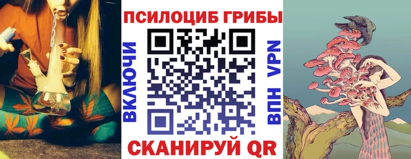 OMG вход  Хасавюрт  Псилоцибиновые грибы Psilocybine cubensis 